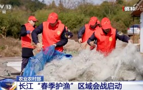 严厉打击！长江“春季护渔”区域会战启动 维护十年禁渔秩序